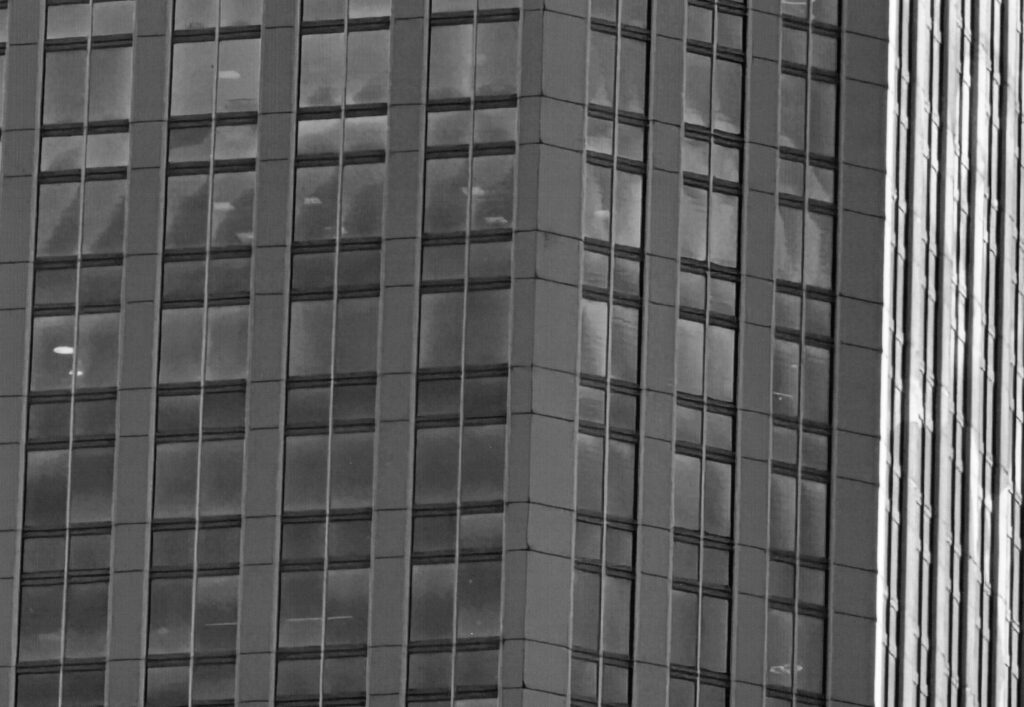 Fatih Kerem Vural VIII