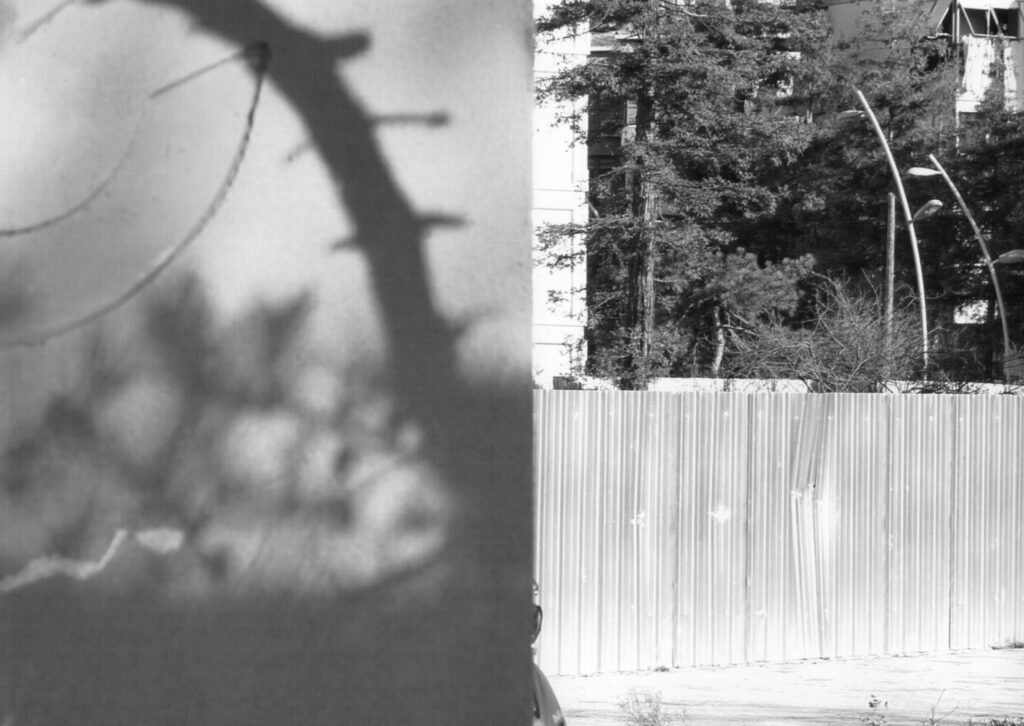 Muhammet Utku Tanrıverdi X