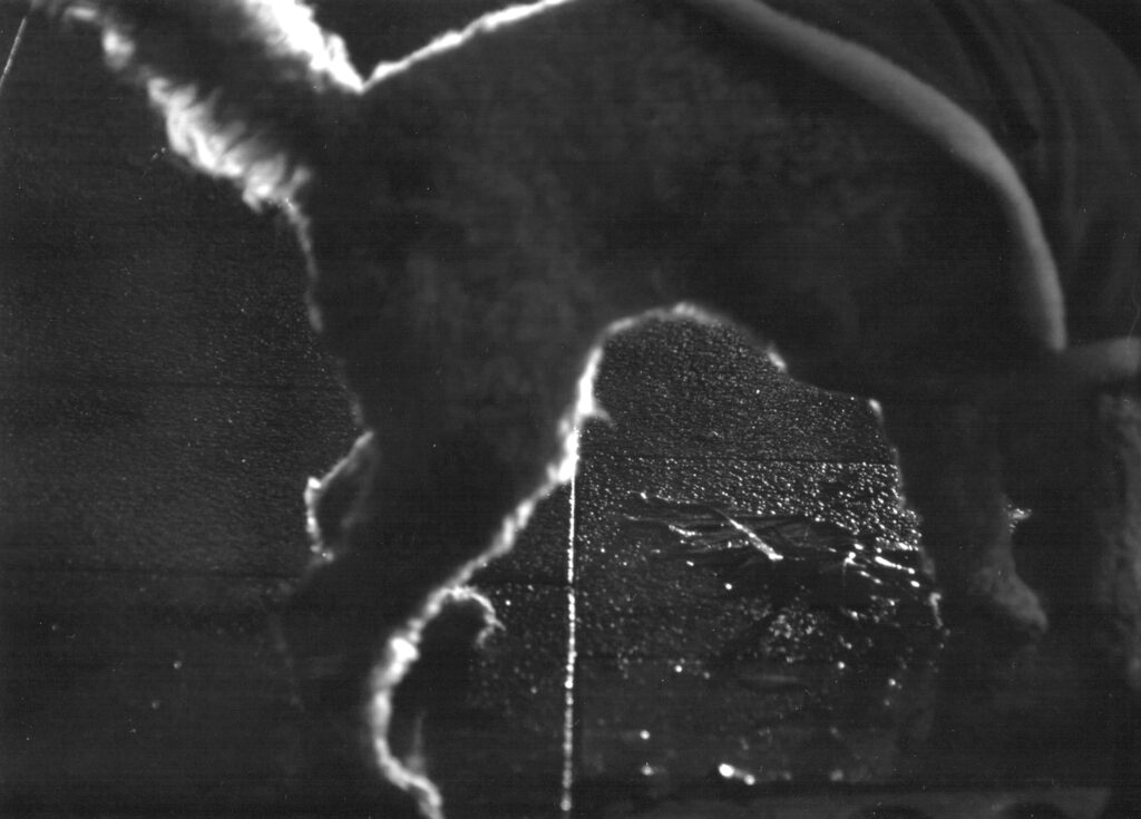 Muhammet Utku Tanrıverdi IX